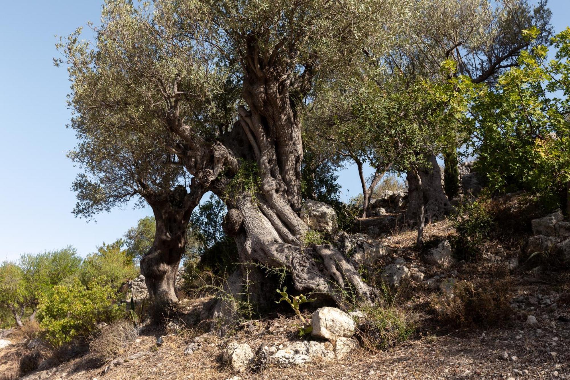 אגריג'נטו Buahjar Boutique Home Apartment מראה חיצוני תמונה